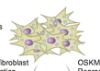 thumbnail image from paper