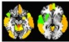 thumbnail image from paper