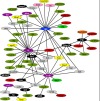 thumbnail image from paper