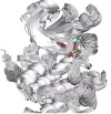 thumbnail image from paper