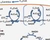 thumbnail image from paper