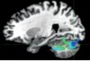 thumbnail image from paper