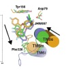 thumbnail image from paper