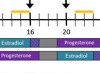 thumbnail image from paper