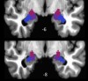 thumbnail image from paper
