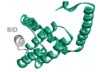 thumbnail image from paper