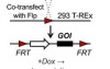 thumbnail image from paper