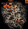 thumbnail image from paper