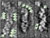 thumbnail image from paper