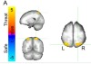 thumbnail image from paper