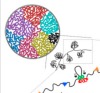 thumbnail image from paper