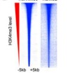 thumbnail image from paper