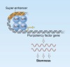 thumbnail image from paper