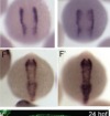 thumbnail image from paper