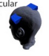 thumbnail image from paper