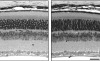 thumbnail image from paper