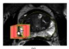 thumbnail image from paper
