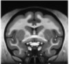 thumbnail image from paper