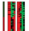 thumbnail image from paper