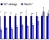 thumbnail image from paper