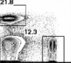 thumbnail image from paper
