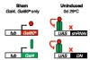 thumbnail image from paper