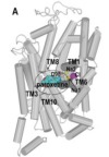 thumbnail image from paper