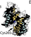 thumbnail image from paper