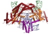 thumbnail image from paper