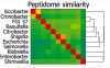 thumbnail image from paper