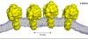 thumbnail image from paper