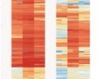 thumbnail image from paper