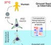 thumbnail image from paper