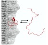 thumbnail image from paper
