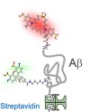 thumbnail image from paper