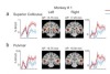 thumbnail image from paper