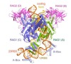thumbnail image from paper