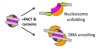 thumbnail image from paper