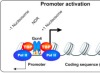 thumbnail image from paper