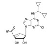thumbnail image from paper