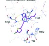 thumbnail image from paper