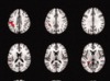 thumbnail image from paper