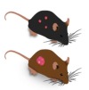 thumbnail image from paper