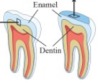 thumbnail image from paper