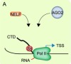 thumbnail image from paper