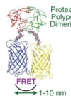 thumbnail image from paper