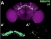 thumbnail image from paper