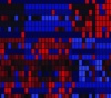 thumbnail image from paper