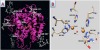 thumbnail image from paper
