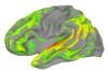 thumbnail image from paper